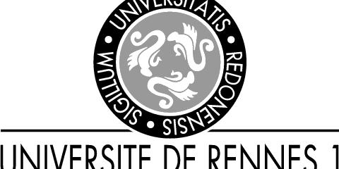 Towards page "Université de Rennes (Frankreich)"