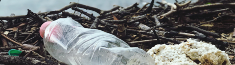 plastic bottle at beach