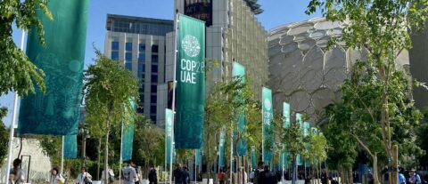 Towards entry "“Bigger, more inclusive, Dubai” – Laura Schuhn at COP28"