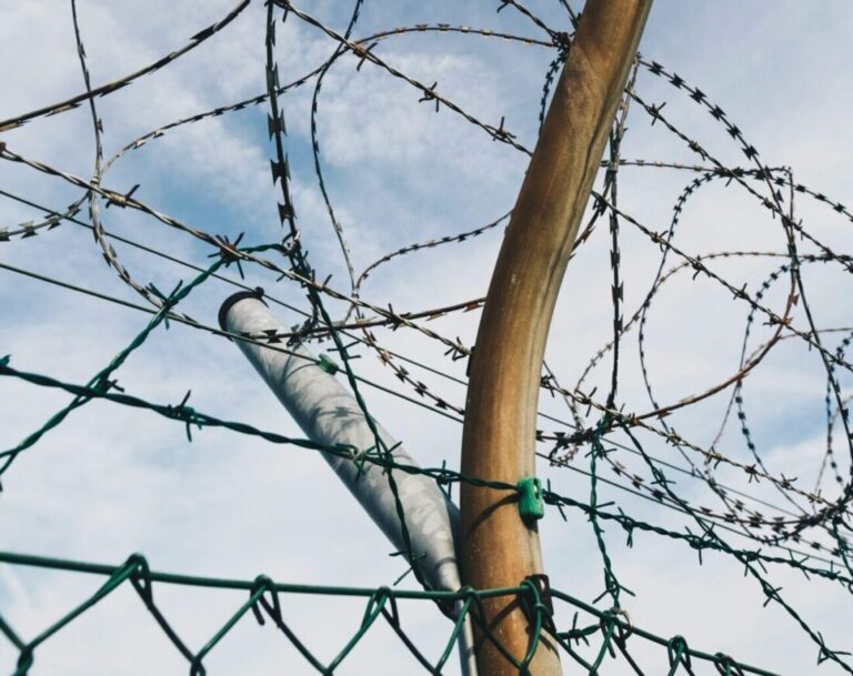 Current Debate on Migration and Asylum: Article by Prof. Dr. Bendel and Renowned Scholars