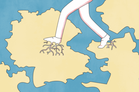 Symbolic picture for the article. The link opens the image in a large view.